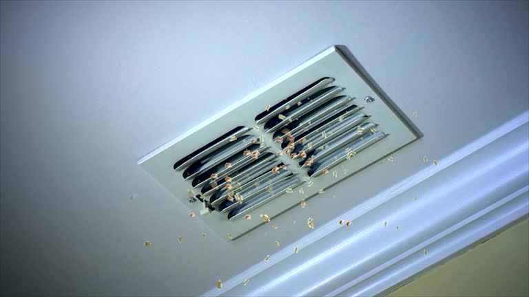 Best HVAC Duct Inspection Services  in Olympia Fields, IL