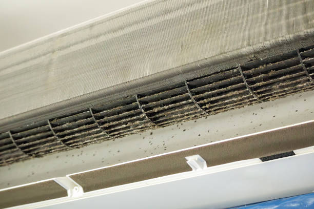 Best Professional Duct Cleaning Services  in Olympia Fields, IL